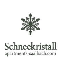 Schneekristall-1