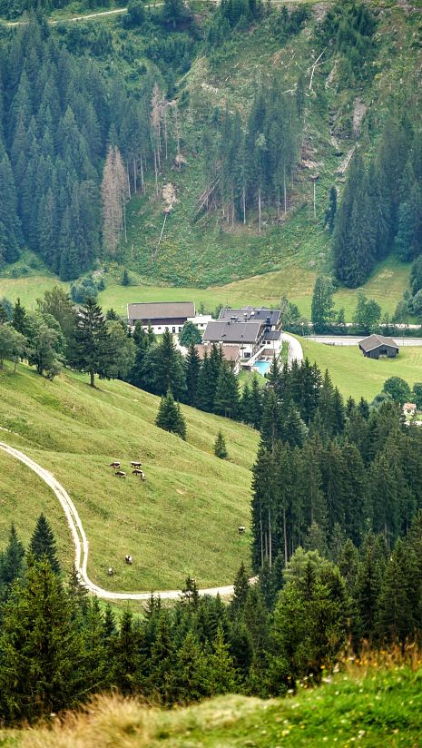 Hotel_Thurnerhof_kindvriendelijk_familiehotel_Saalbach_1_original