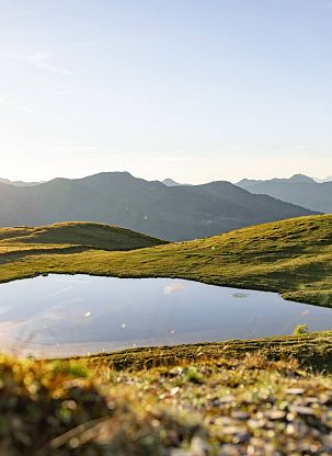 Thurnerhof Saalbach – Wandern Sommer in Saalbach-03