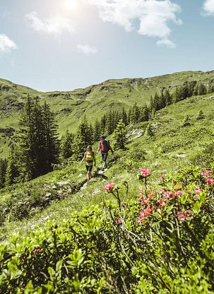 Thurnerhof Saalbach – Wandern Sommer in Saalbach-15