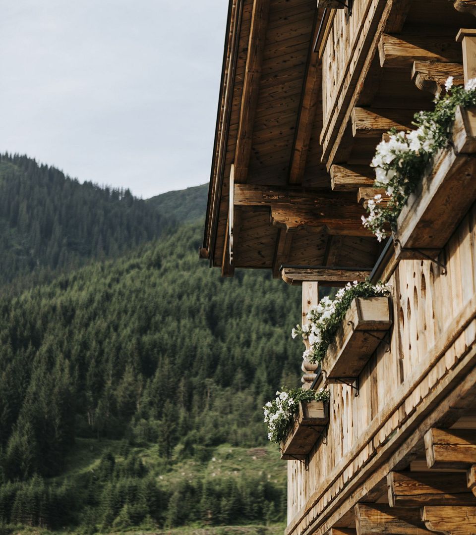 Hotel_Thurnerhof_Saalbach_Ribiselkuchen_Rezept_1