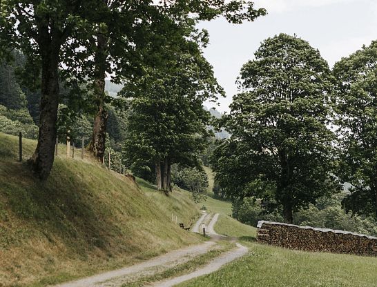 Naturparadies rund um den Thurnerhof – Landschaftserlebnisse in Saalbach Hinterglemm