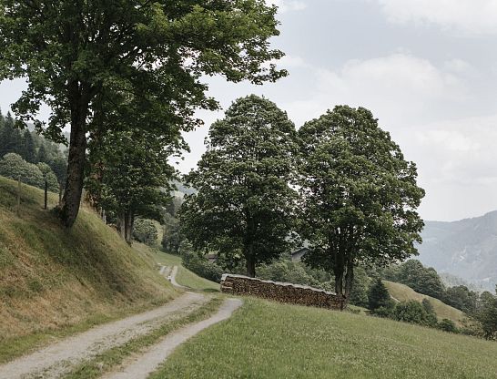 Naturparadies rund um den Thurnerhof – Landschaftserlebnisse in Saalbach Hinterglemm