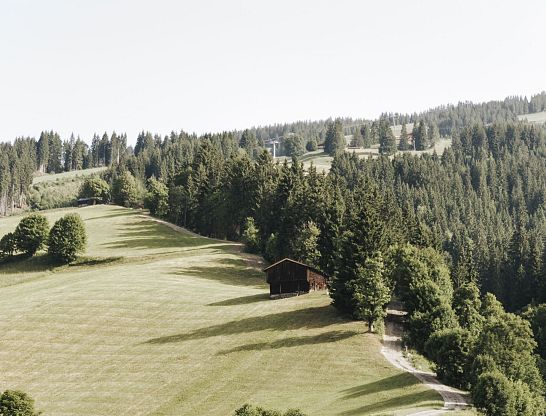 Naturparadies rund um den Thurnerhof – Landschaftserlebnisse in Saalbach Hinterglemm