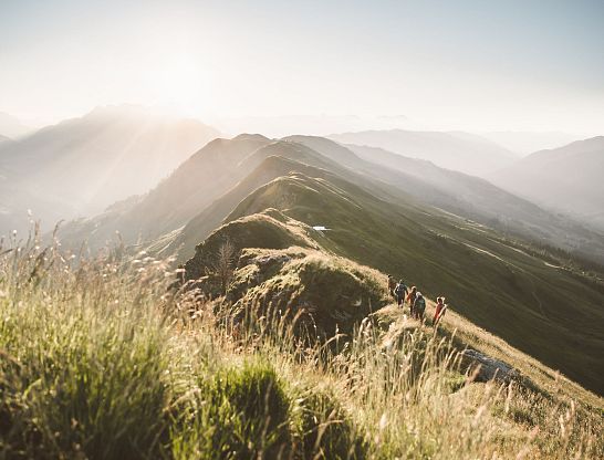 Wandern _ Hiking in Saalbach Hinterglemm 5236x3491